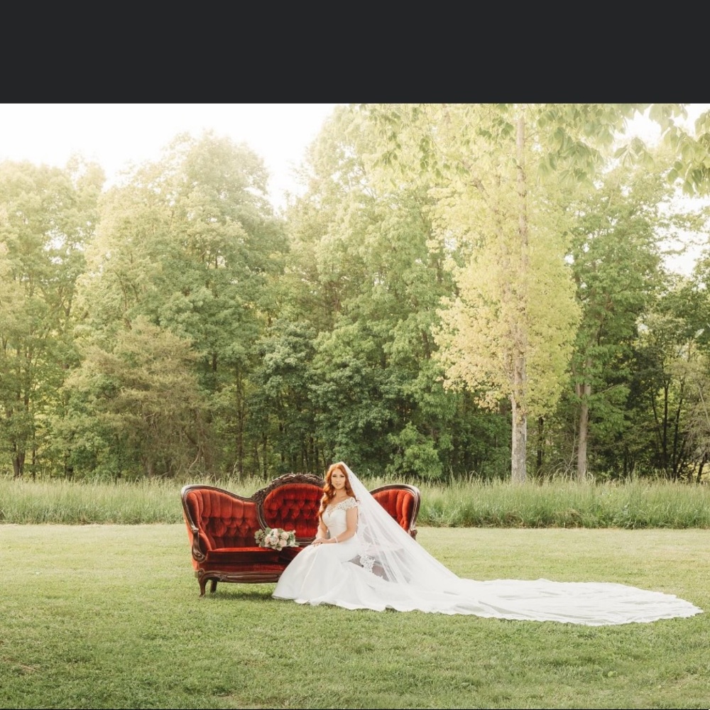 Wedding cathedral veil